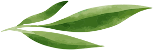 separator2