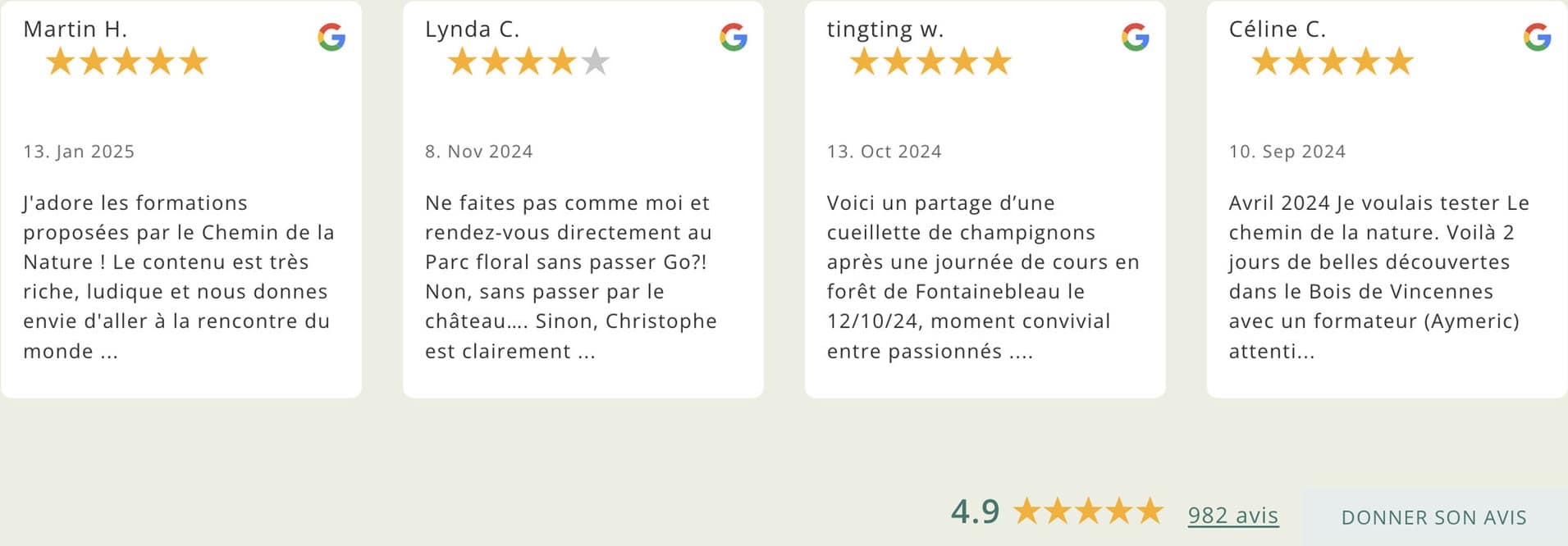 avis-google-nano